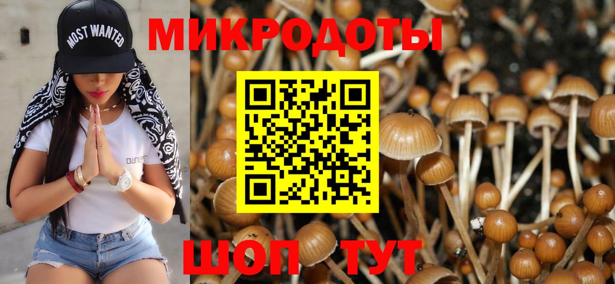 Усть-Илимск  Псилоцибиновые грибы Psilocybine cubensis  Вход с VPN  хочу   Псилоцибиновые грибы мицелий 